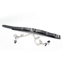 Kinky Fantasy Collar with attached Nipple Clamps