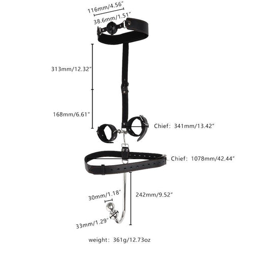 Anal Hook with Double Ball, Gag and Cuffs