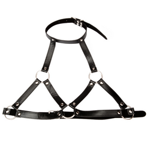 The 7881 Leather Bra, Collar and Nipple Clamp Set